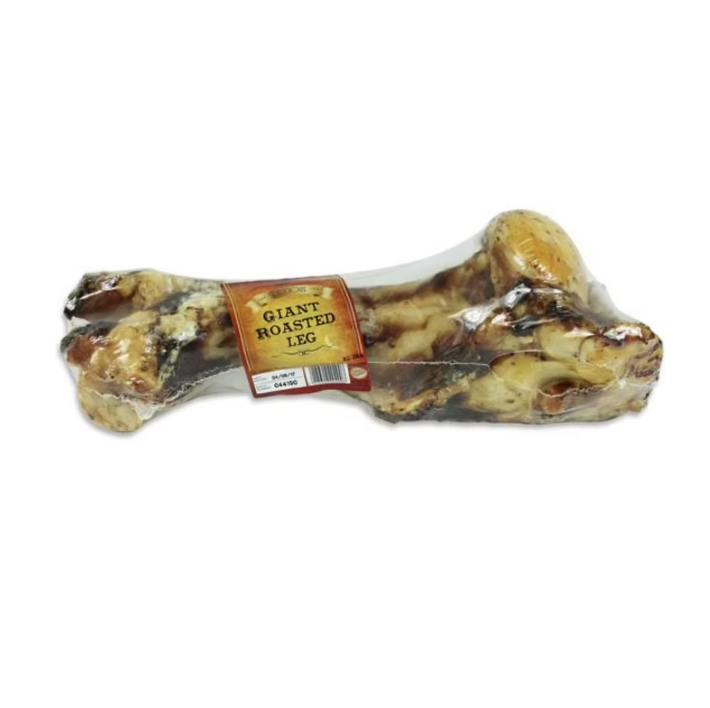 Super Large Dino Bone (large dog)