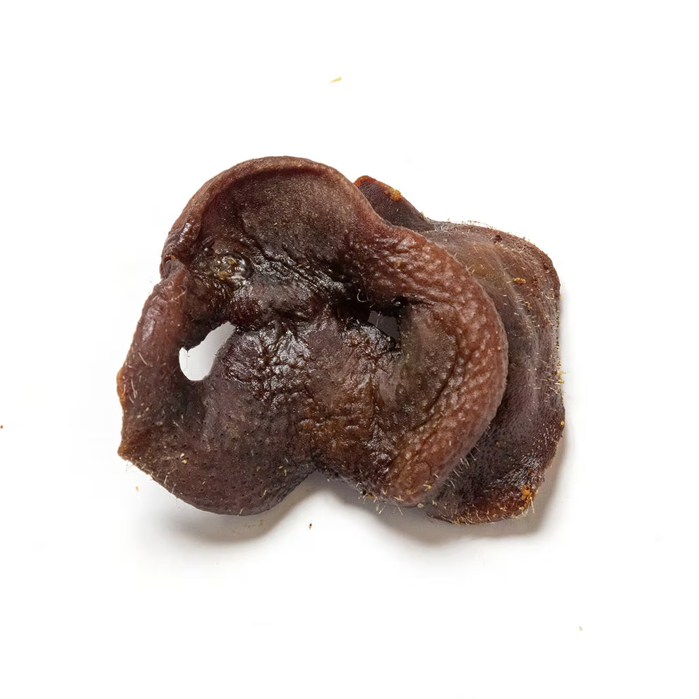Pig Snout