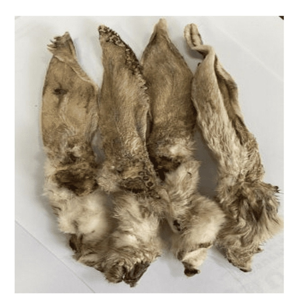 Natural Rabbit Ears with Fur