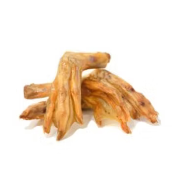 Duck Feet